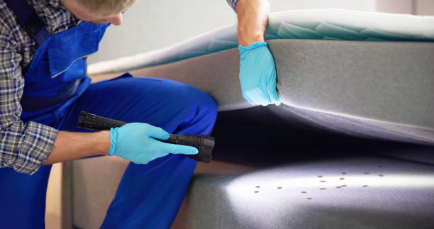 Best Best Pest Control Companies  in Pelion, SC