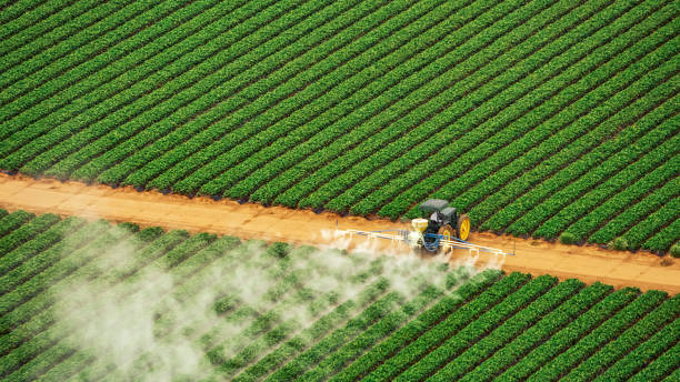 Professional Pest Control in Pelion, SC