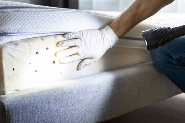 Pest Control for Restaurants in Pelion, SC