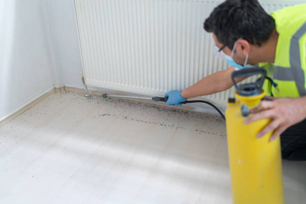 Best Local Pest Control Services  in Pelion, SC