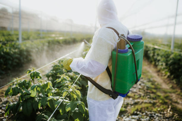 Pest Prevention Services in Pelion, SC